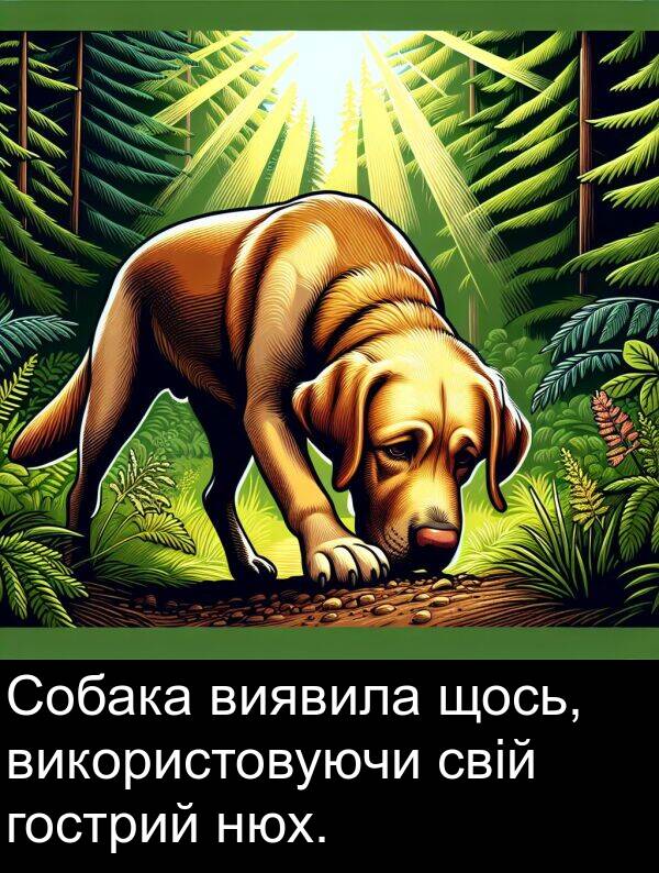 щось: Собака виявила щось, використовуючи свій гострий нюх.