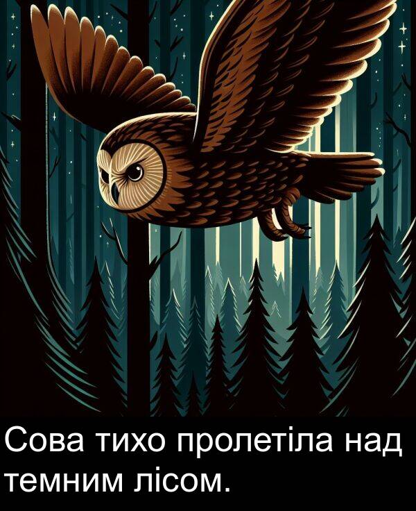 темним: Сова тихо пролетіла над темним лісом.