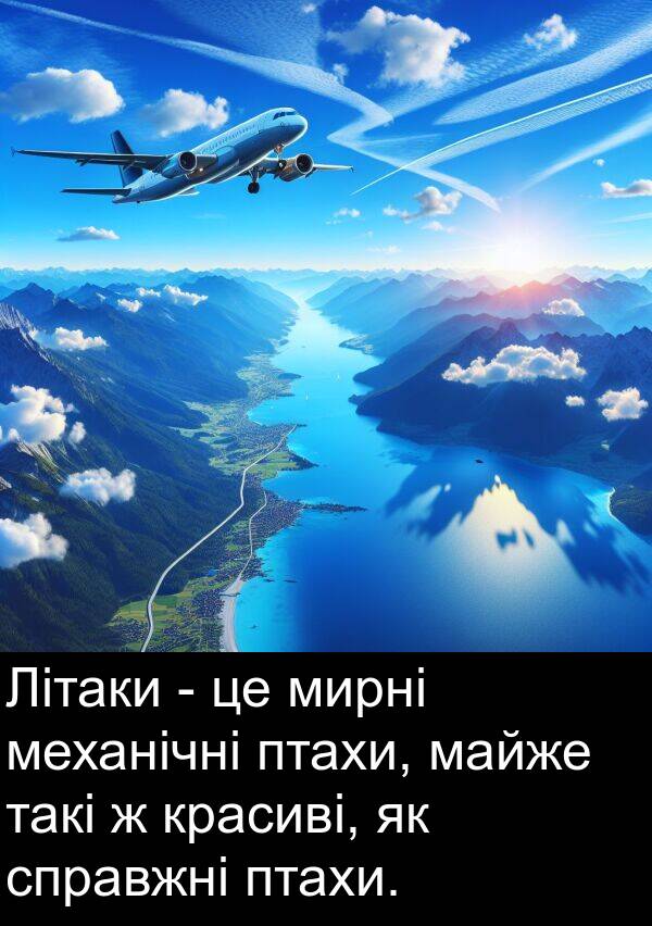 майже: Літаки - це мирні механічні птахи, майже такі ж красиві, як справжні птахи.