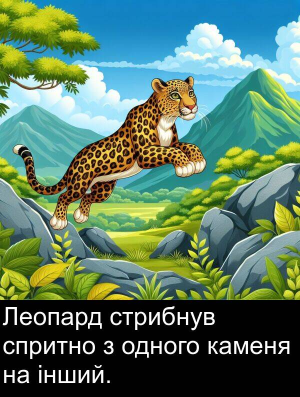 інший: Леопард стрибнув спритно з одного каменя на інший.