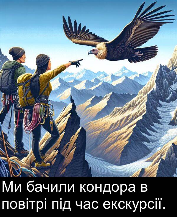 екскурсії: Ми бачили кондора в повітрі під час екскурсії.