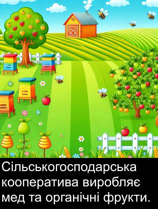мед: Сільськогосподарська кооператива виробляє мед та органічні фрукти.