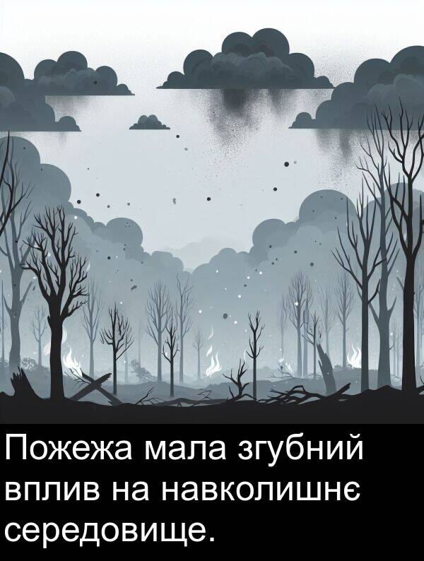 мала: Пожежа мала згубний вплив на навколишнє середовище.