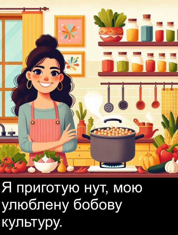 улюблену: Я приготую нут, мою улюблену бобову культуру.