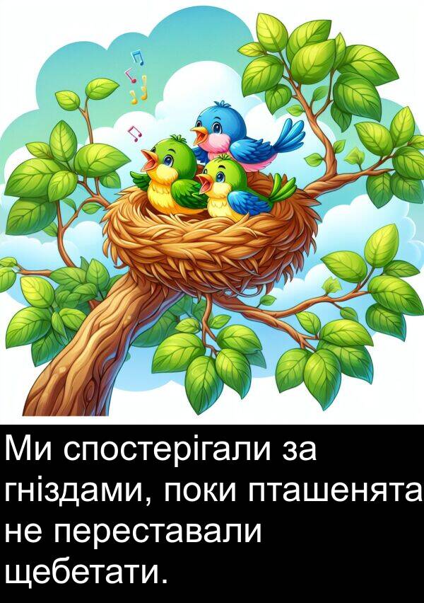 щебетати: Ми спостерігали за гніздами, поки пташенята не переставали щебетати.