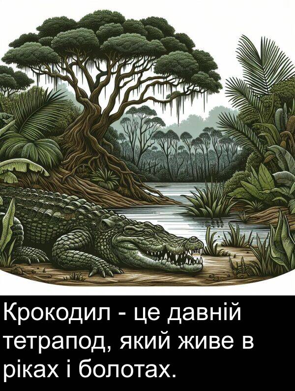 давній: Крокодил - це давній тетрапод, який живе в ріках і болотах.