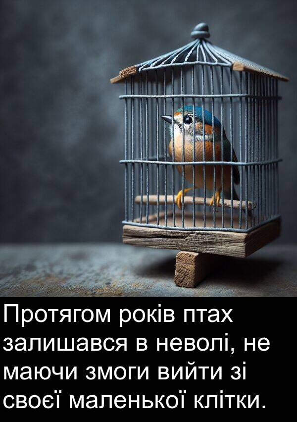 маленької: Протягом років птах залишався в неволі, не маючи змоги вийти зі своєї маленької клітки.