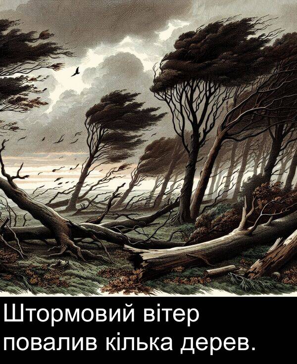 дерев: Штормовий вітер повалив кілька дерев.