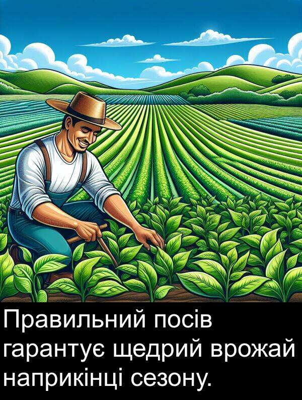 щедрий: Правильний посів гарантує щедрий врожай наприкінці сезону.