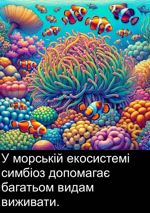 екосистемі: У морській екосистемі симбіоз допомагає багатьом видам виживати.