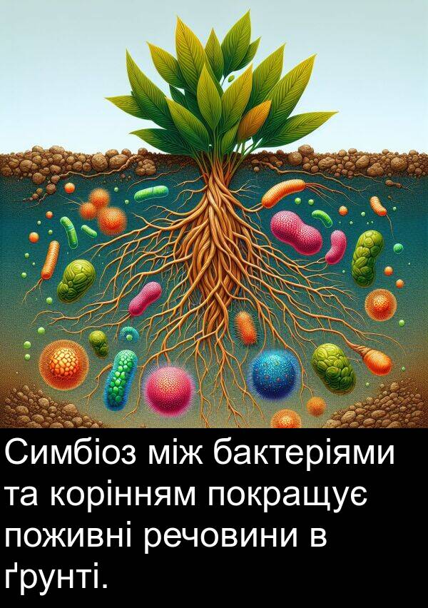 між: Симбіоз між бактеріями та корінням покращує поживні речовини в ґрунті.
