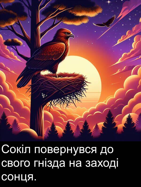 свого: Сокіл повернувся до свого гнізда на заході сонця.