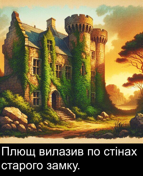 замку: Плющ вилазив по стінах старого замку.