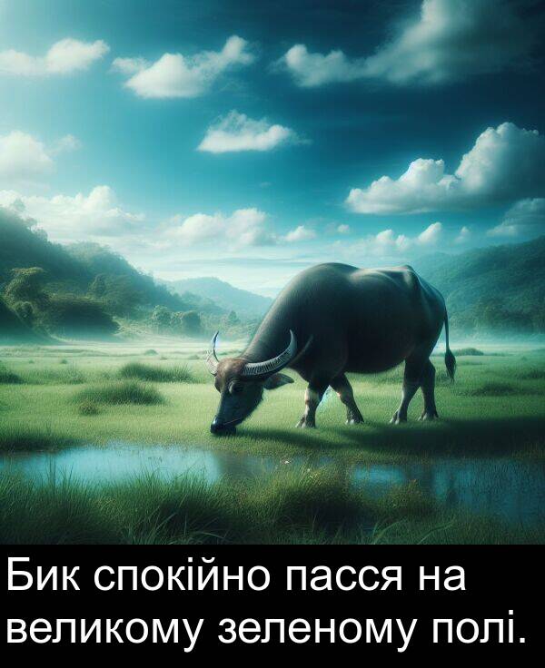 пасся: Бик спокійно пасся на великому зеленому полі.