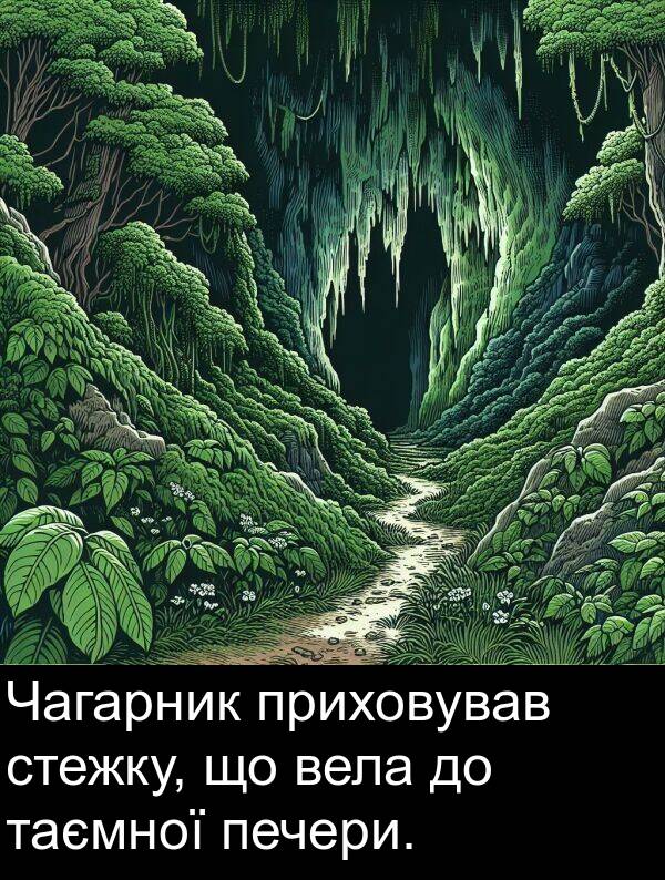 таємної: Чагарник приховував стежку, що вела до таємної печери.