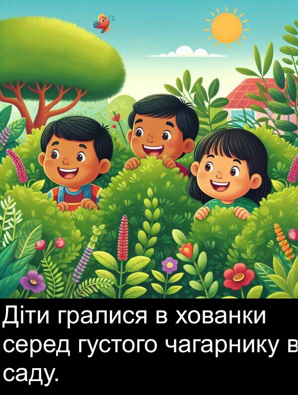 хованки: Діти гралися в хованки серед густого чагарнику в саду.