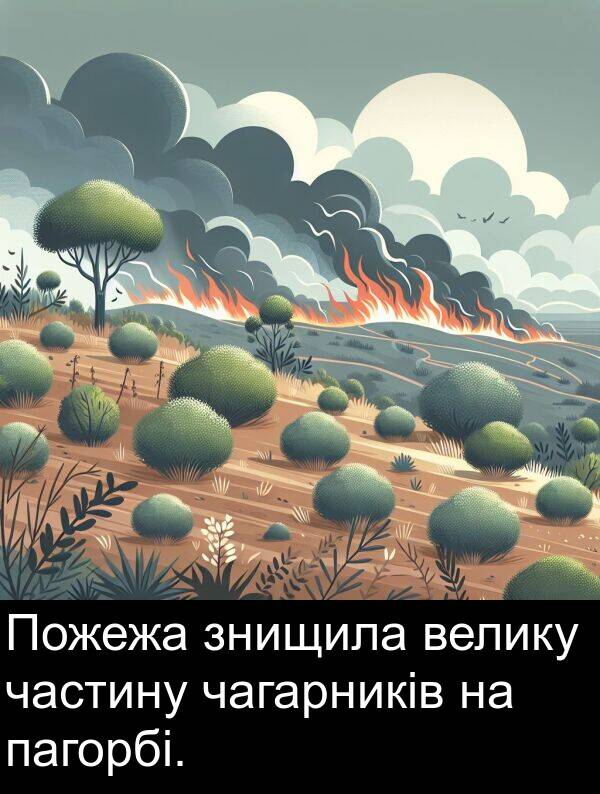 пагорбі: Пожежа знищила велику частину чагарників на пагорбі.