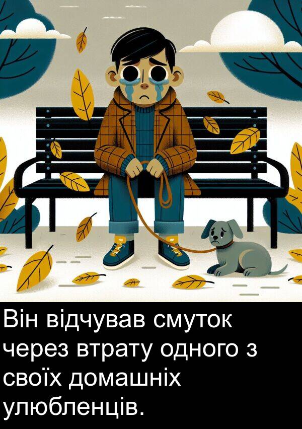 через: Він відчував смуток через втрату одного з своїх домашніх улюбленців.
