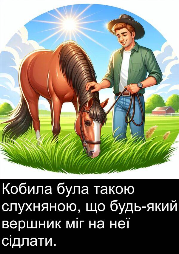 міг: Кобила була такою слухняною, що будь-який вершник міг на неї сідлати.