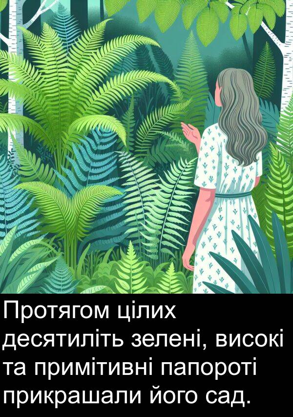 десятиліть: Протягом цілих десятиліть зелені, високі та примітивні папороті прикрашали його сад.