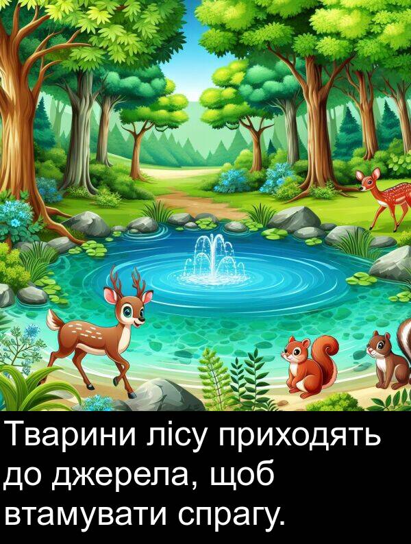 джерела: Тварини лісу приходять до джерела, щоб втамувати спрагу.