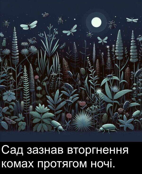 зазнав: Сад зазнав вторгнення комах протягом ночі.