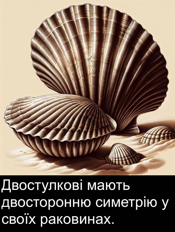 мають: Двостулкові мають двосторонню симетрію у своїх раковинах.