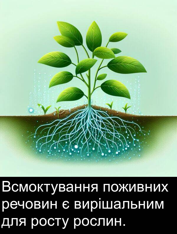 речовин: Всмоктування поживних речовин є вирішальним для росту рослин.