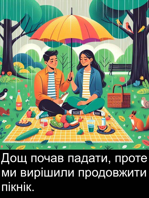 пікнік: Дощ почав падати, проте ми вирішили продовжити пікнік.