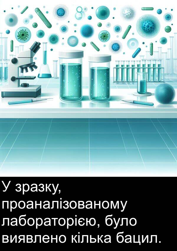 кілька: У зразку, проаналізованому лабораторією, було виявлено кілька бацил.