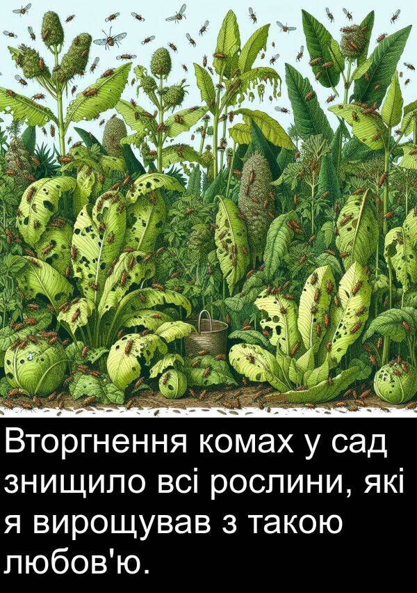 такою: Вторгнення комах у сад знищило всі рослини, які я вирощував з такою любов'ю.