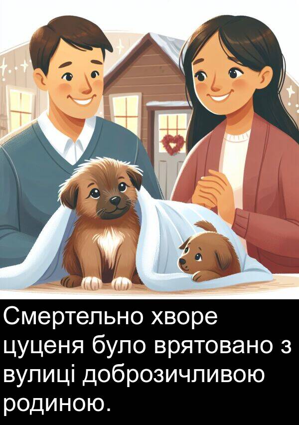 цуценя: Смертельно хворе цуценя було врятовано з вулиці доброзичливою родиною.
