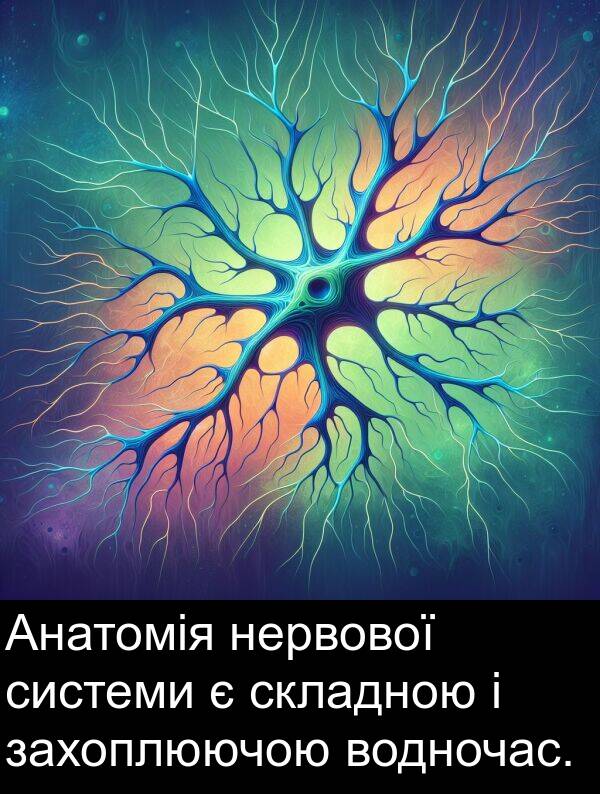 захоплюючою: Анатомія нервової системи є складною і захоплюючою водночас.