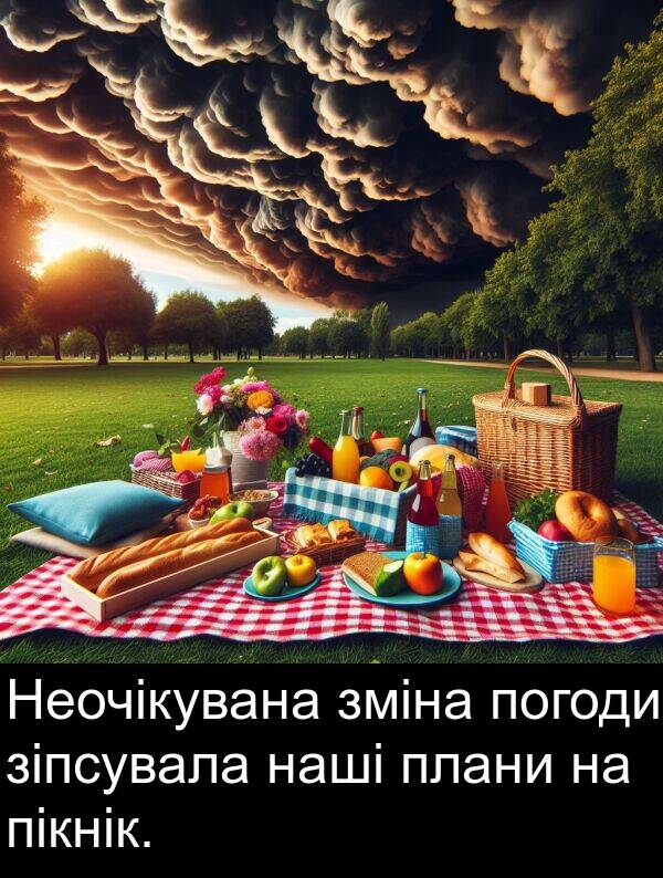 пікнік: Неочікувана зміна погоди зіпсувала наші плани на пікнік.