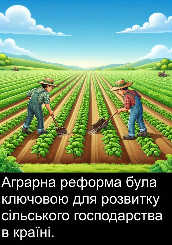 реформа: Аграрна реформа була ключовою для розвитку сільського господарства в країні.