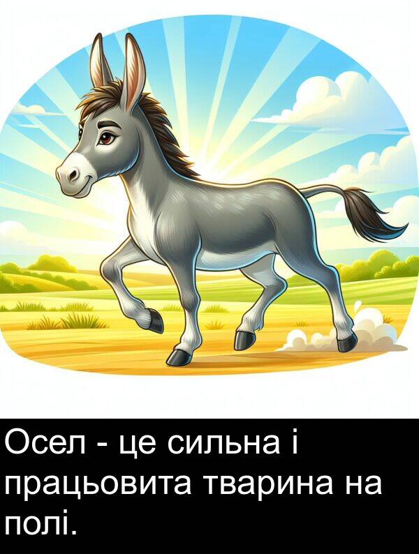 тварина: Осел - це сильна і працьовита тварина на полі.