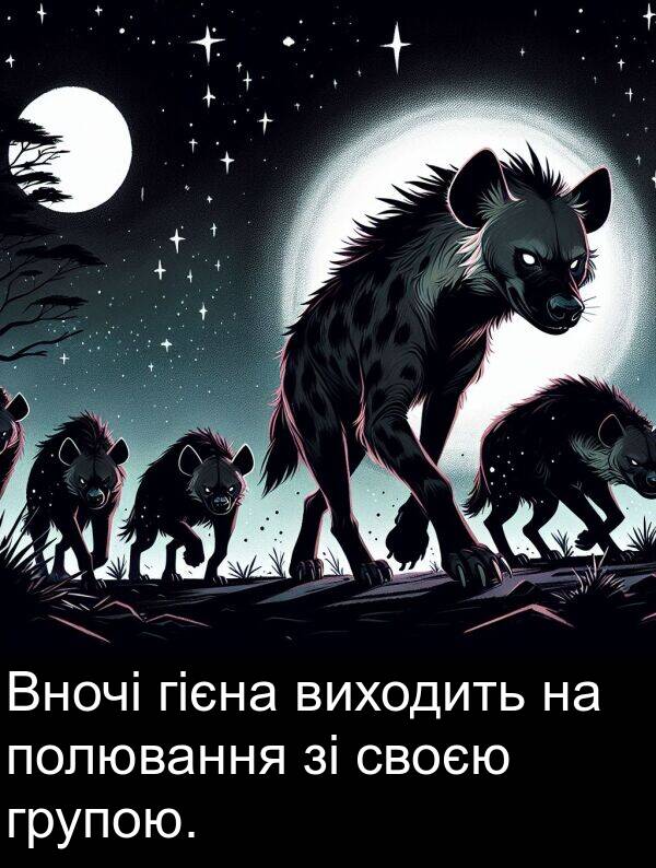 своєю: Вночі гієна виходить на полювання зі своєю групою.