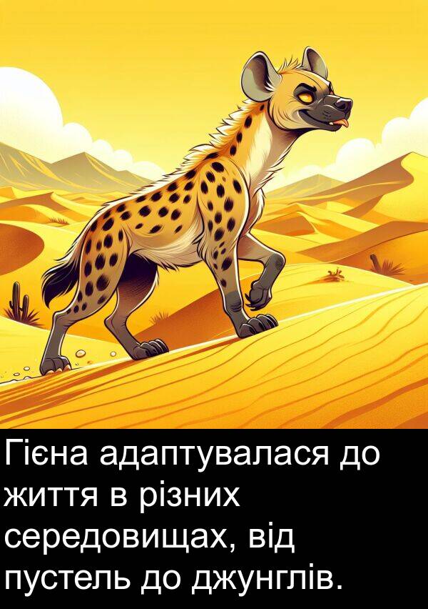 різних: Гієна адаптувалася до життя в різних середовищах, від пустель до джунглів.