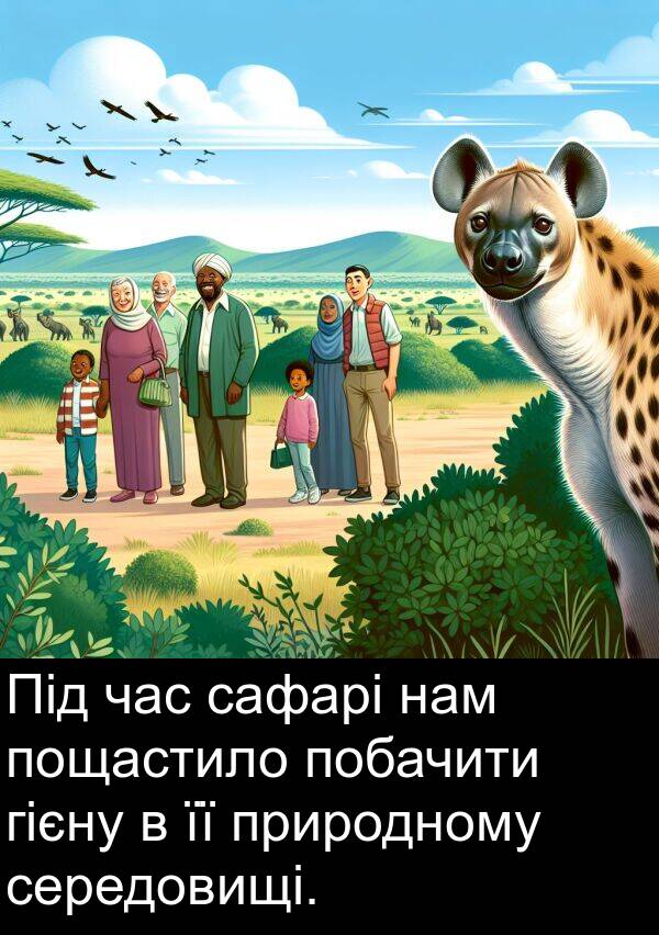 нам: Під час сафарі нам пощастило побачити гієну в її природному середовищі.