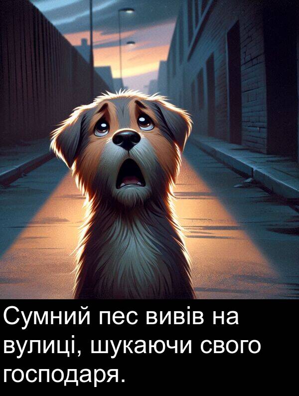 свого: Сумний пес вивів на вулиці, шукаючи свого господаря.