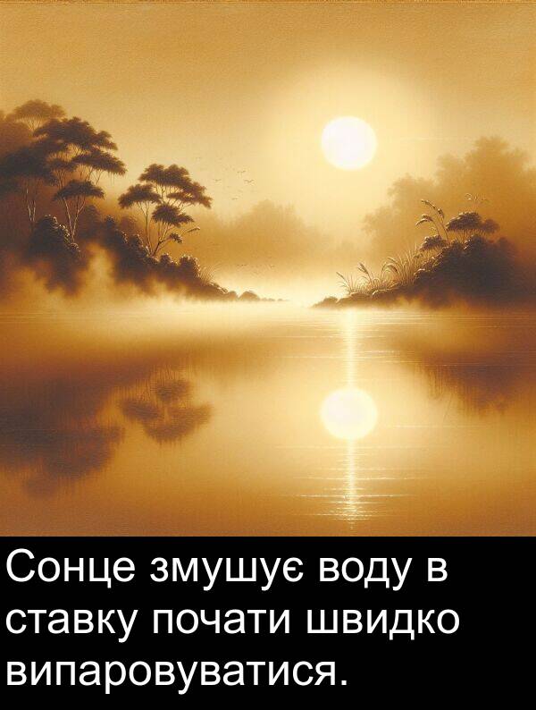 швидко: Сонце змушує воду в ставку почати швидко випаровуватися.