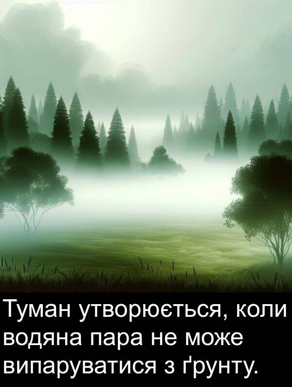 пара: Туман утворюється, коли водяна пара не може випаруватися з ґрунту.