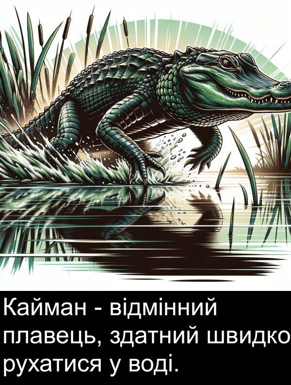 відмінний: Кайман - відмінний плавець, здатний швидко рухатися у воді.