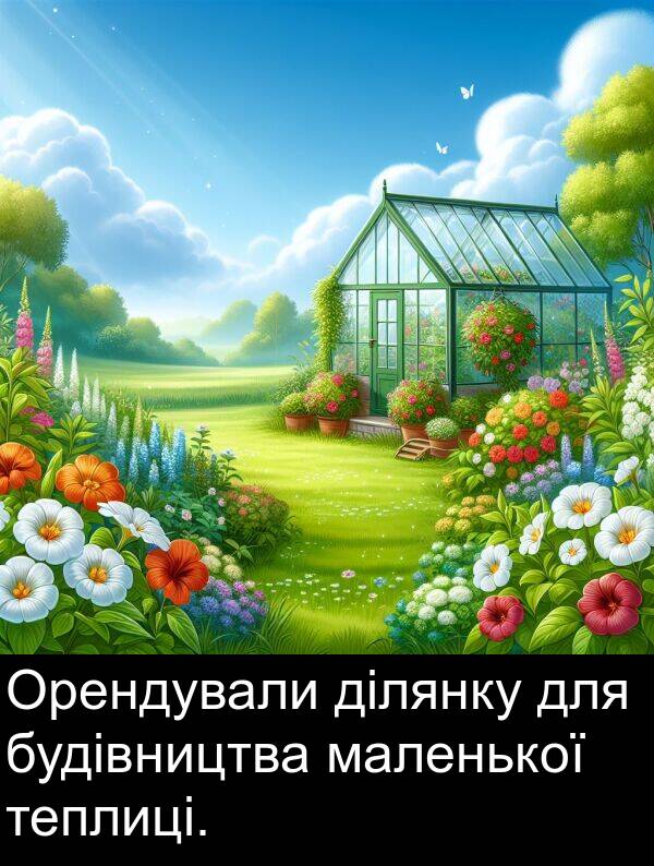 ділянку: Орендували ділянку для будівництва маленької теплиці.