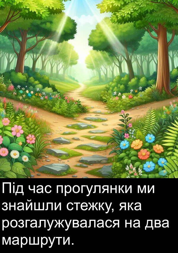 два: Під час прогулянки ми знайшли стежку, яка розгалужувалася на два маршрути.