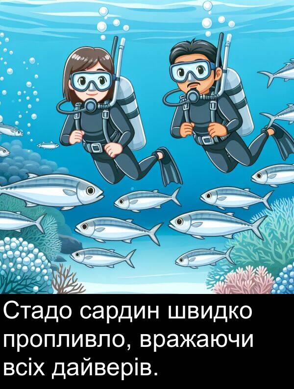 сардин: Стадо сардин швидко пропливло, вражаючи всіх дайверів.