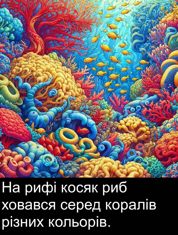 рифі: На рифі косяк риб ховався серед коралів різних кольорів.