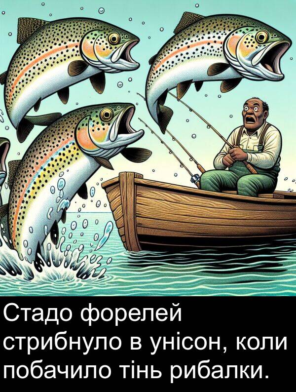 рибалки: Стадо форелей стрибнуло в унісон, коли побачило тінь рибалки.