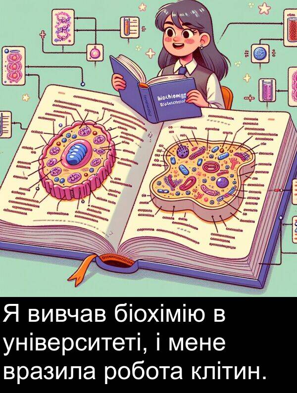 біохімію: Я вивчав біохімію в університеті, і мене вразила робота клітин.