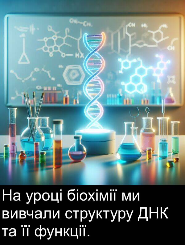 біохімії: На уроці біохімії ми вивчали структуру ДНК та її функції.